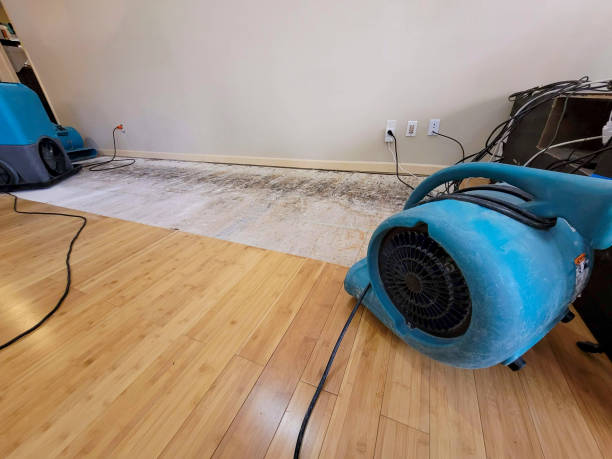 Professional Structural Drying technician working in Central City, CO